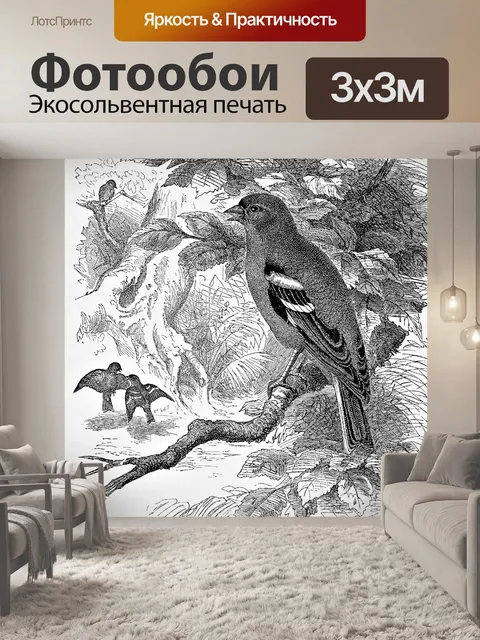 Фотообои Зяблик