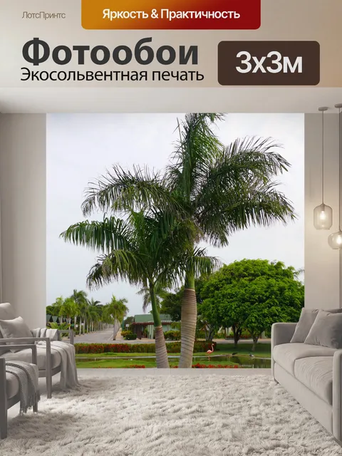 Фотообои Palm Trees