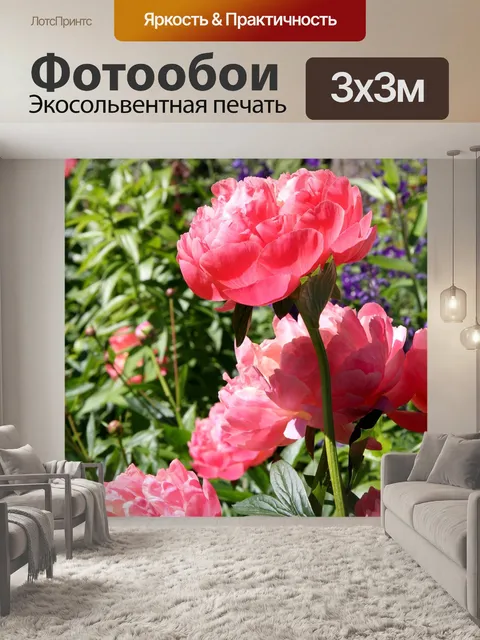 Фотообои Цветы