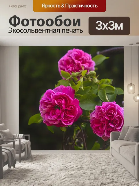 Фотообои Корзина с розами