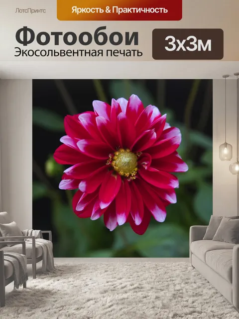 Фотообои Цветы