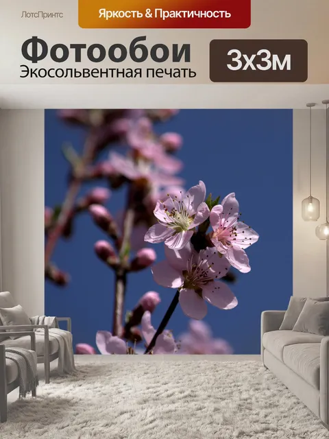 Фотообои Цветок