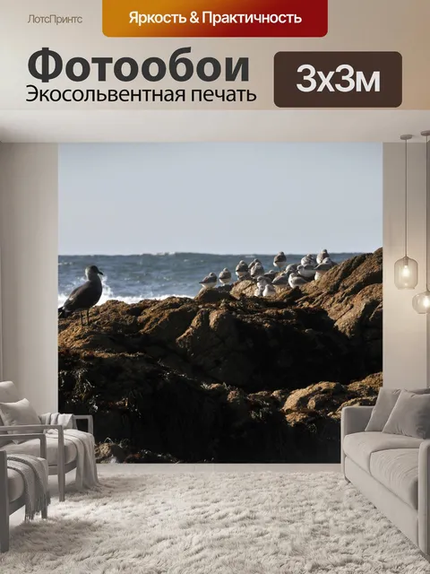 Фотообои Птицы на скале в море