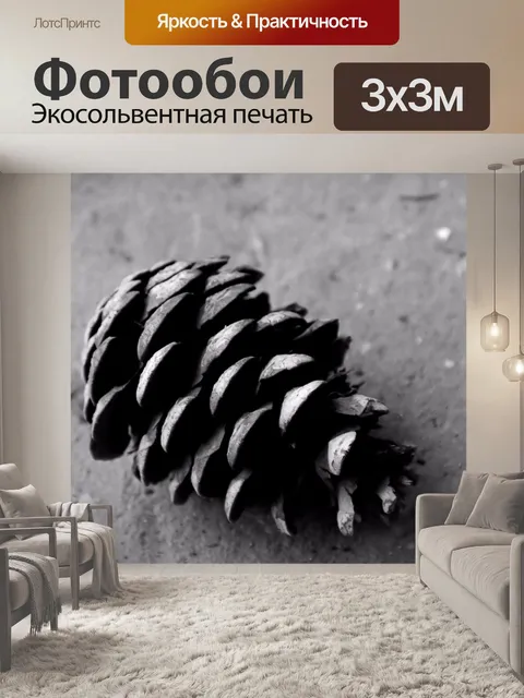 Фотообои Сосновый конус в черно-белом
