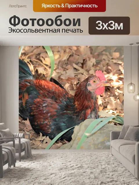 Фотообои Красный и черный петух в листьях
