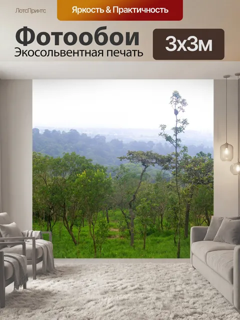 Фотообои Сиам тюльпан цветок Па Хин Нгам