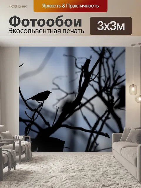 Фотообои птица