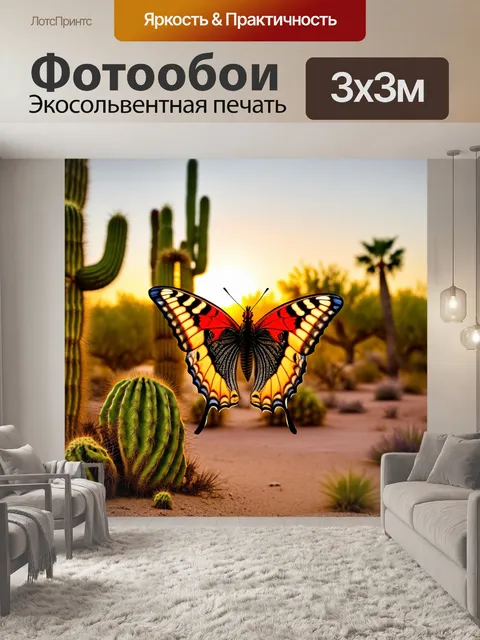 Фотообои бабочка: бабочка с яркими