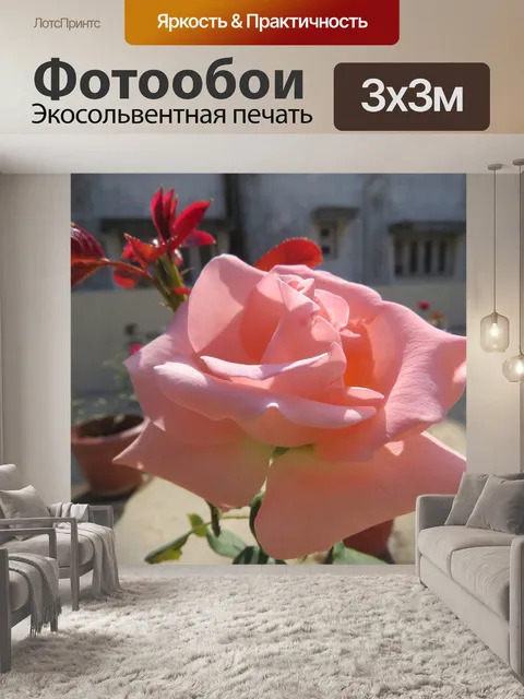 Фотообои Природа