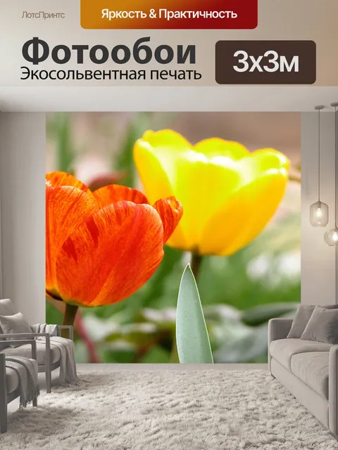 Фотообои Цветы