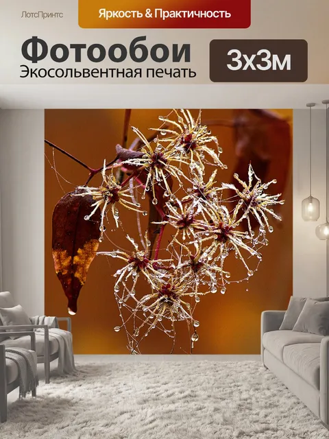 Фотообои Туман