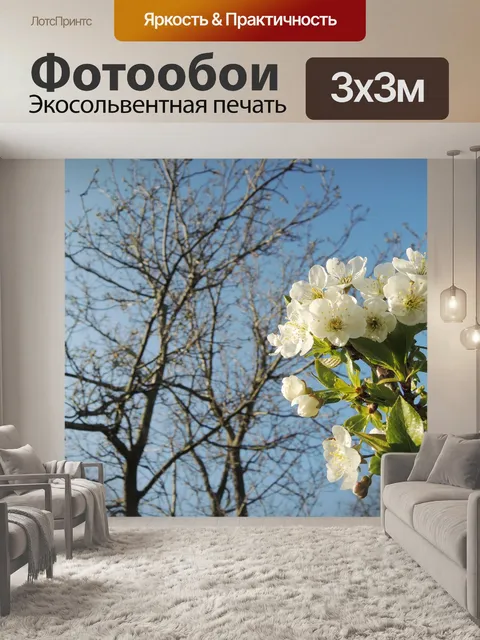 Фотообои Вишня