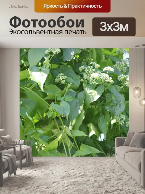 Фотообои листьев и цветов фона