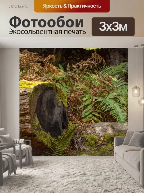 Фотообои Лесной мусор