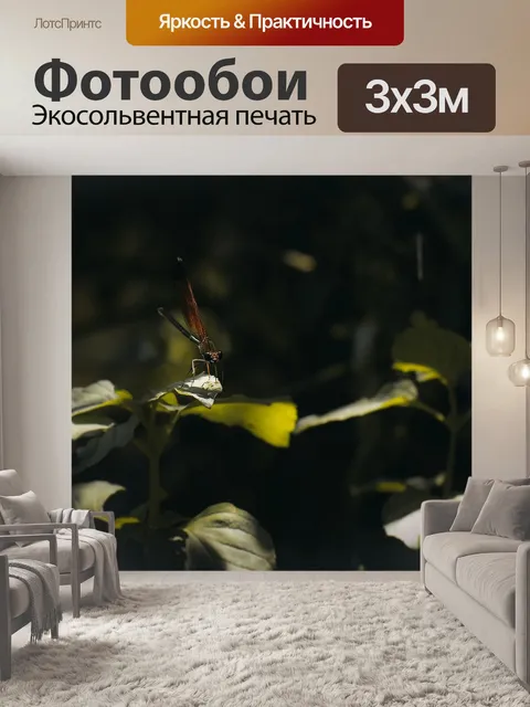 Фотообои Стрекоза