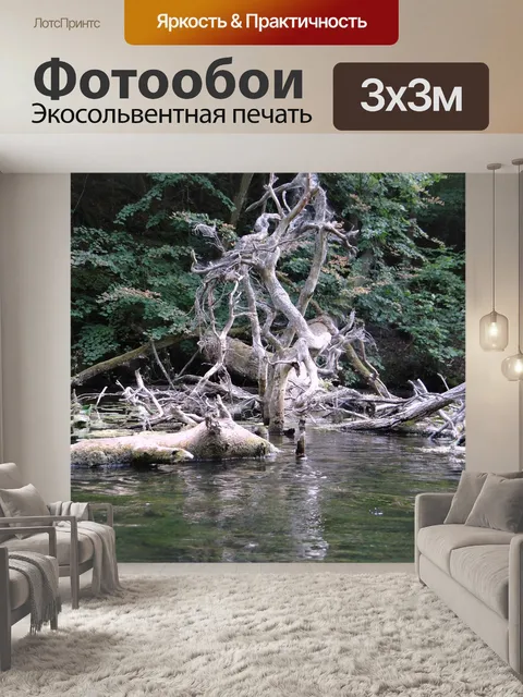 Фотообои Krutynia