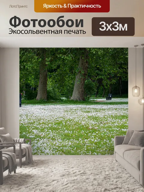 Фотообои Ромашки, парк, пейзаж