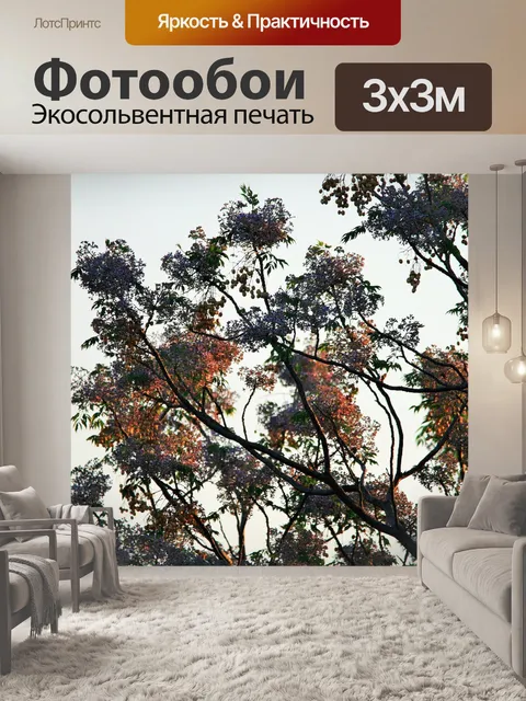 Фотообои солнечный свет на Seringa дерева