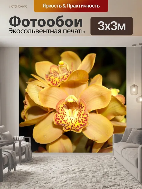 Фотообои Фото цветка орхидеи
