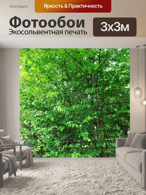 Фотообои Грин