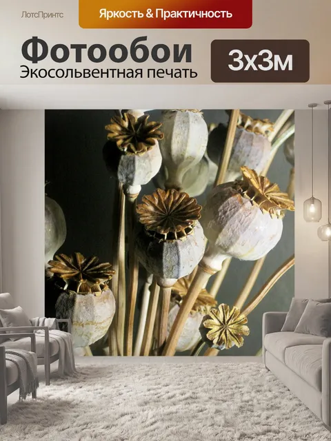 Фотообои Стручки семян