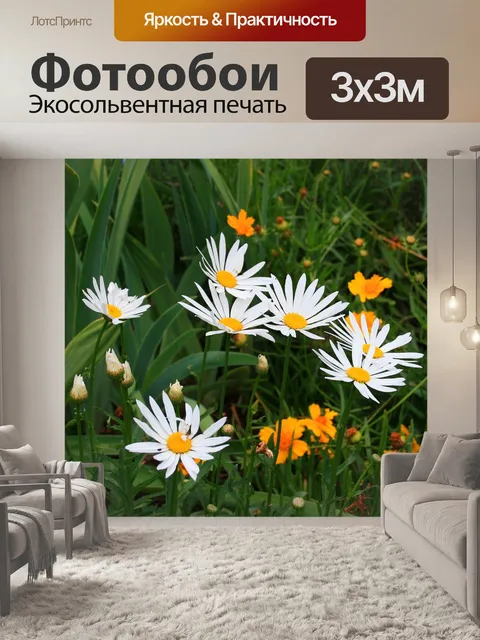 Фотообои белые ромашки в саду
