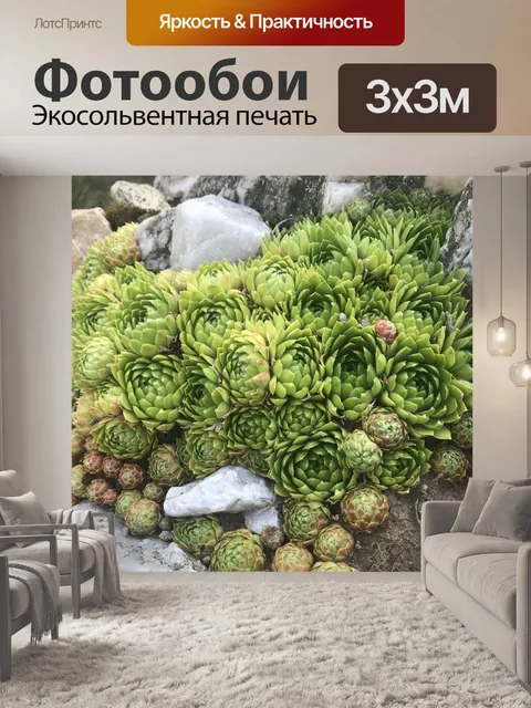 Фотообои Камень