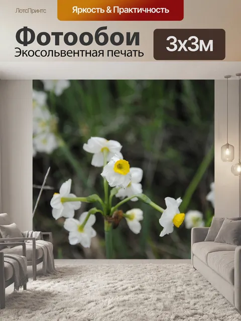 Фотообои Цветы