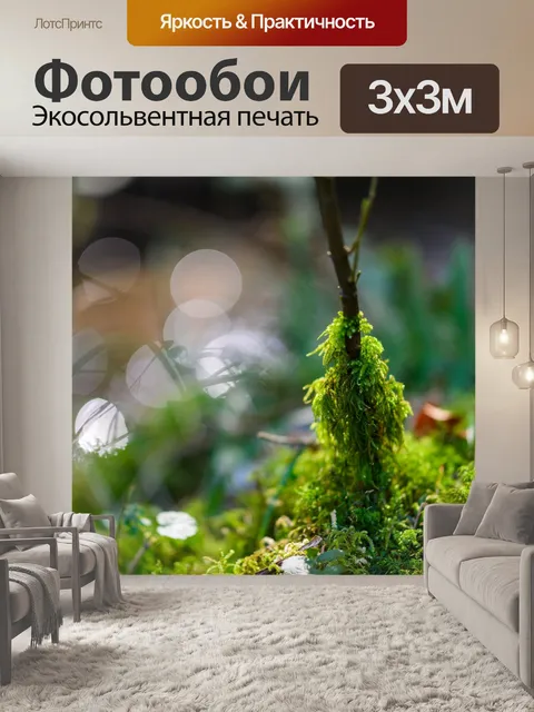 Фотообои Мох