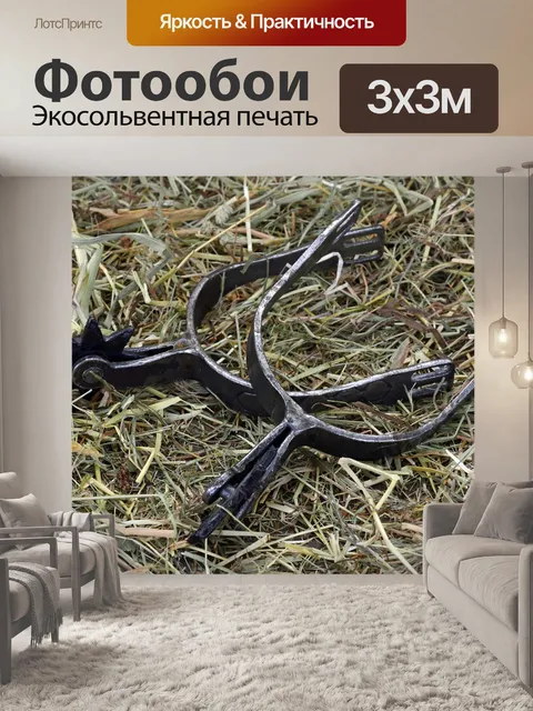 Фотообои Споры
