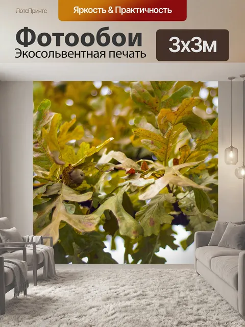 Фотообои Дуб