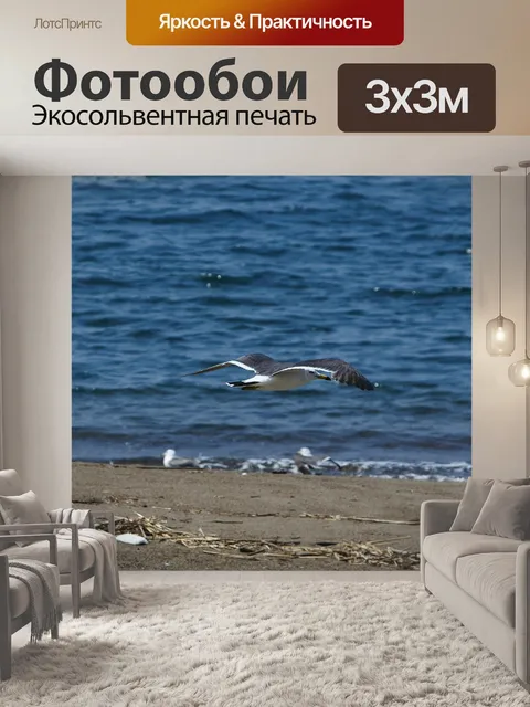 Фотообои Животное