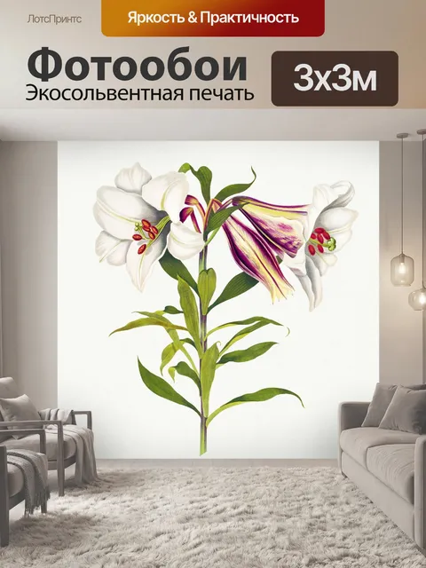 Фотообои Цветочный цветок старинное искусство