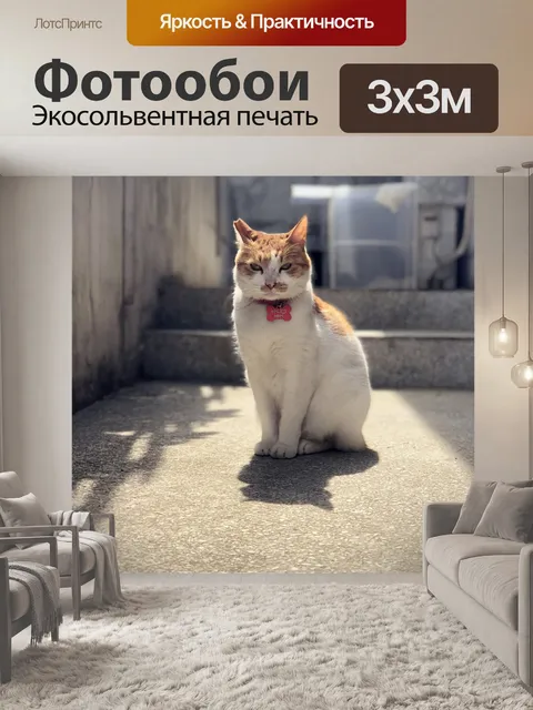 Фотообои Милый