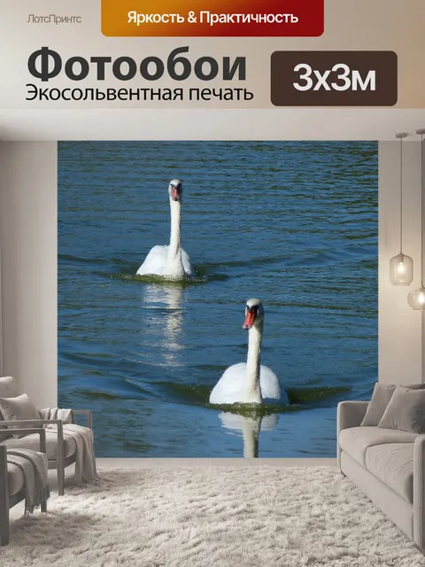 Фотообои Лебеди