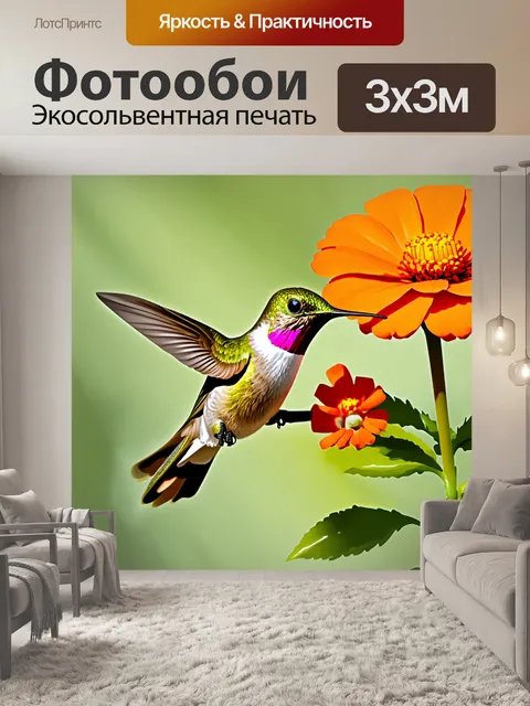 Фотообои колибри, покоится на оранжевом цветке в окружении нежных весенних утренних лучей
