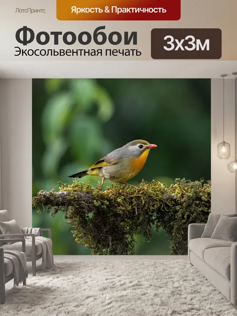 Фотообои Птица
