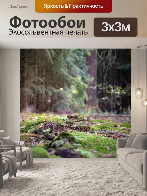 Фотообои Лес