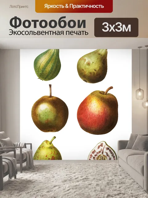 Фотообои Фрукты груши Винтаж клипарт