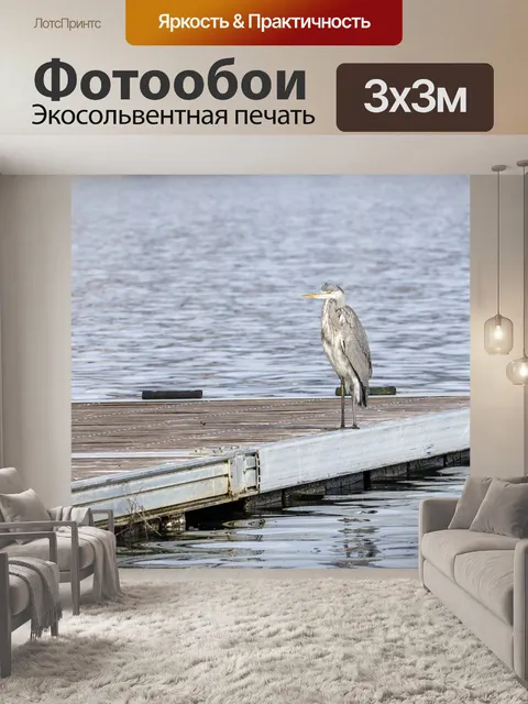 Фотообои Птица