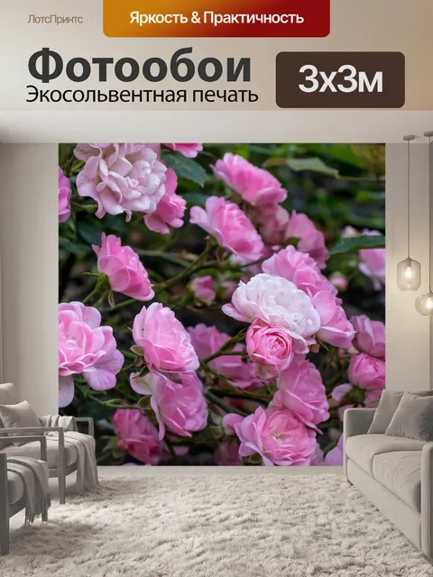 Фотообои Розы