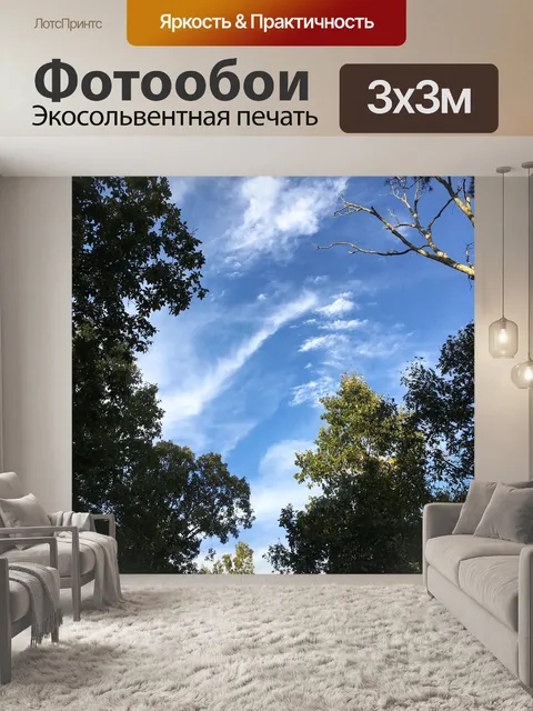 Фотообои Небо