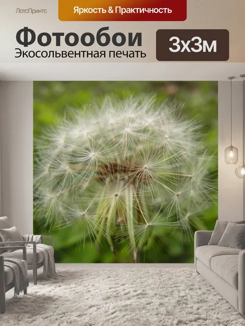 Фотообои Одуванчик