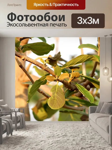Фотообои Дикое дерево листья