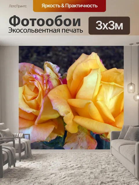 Фотообои Пара из роз