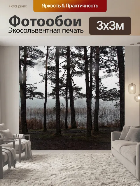 Фотообои Лес