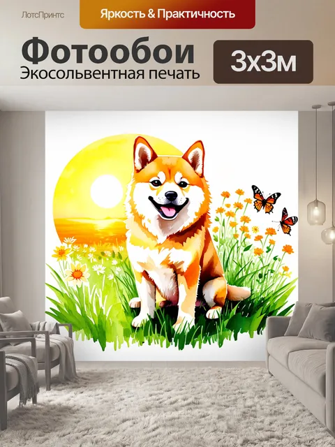 Фотообои на фоне золотистого заката, сиба-ину сидит на траве, его пушистая шерсть сверкает на солнце
