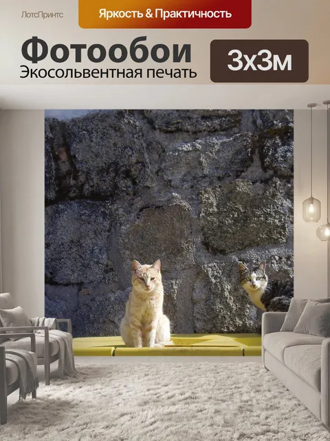 Фотообои Кошки