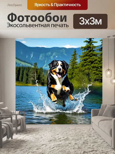 Фотообои бернская зенненхунд с радостью прыгает в прохладной воде озера, брызги летят в разные стороны