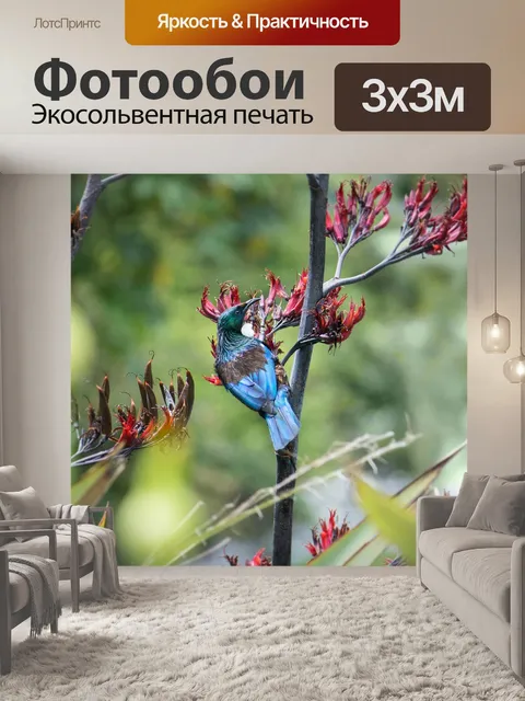 Фотообои Туи